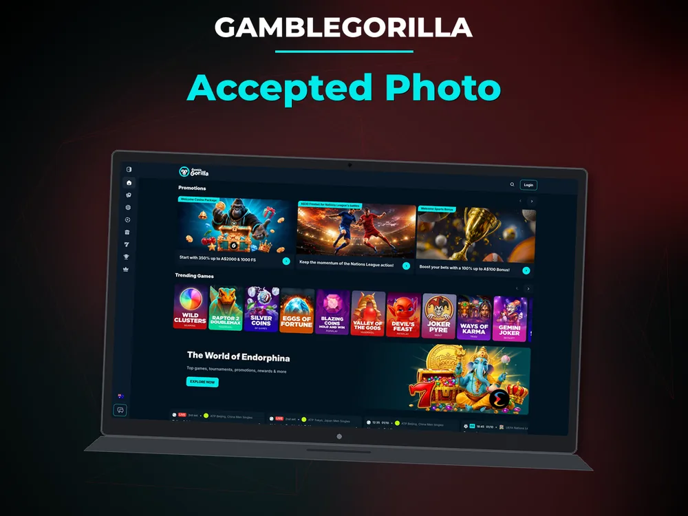 Gamblegorilla - Accepted Photo